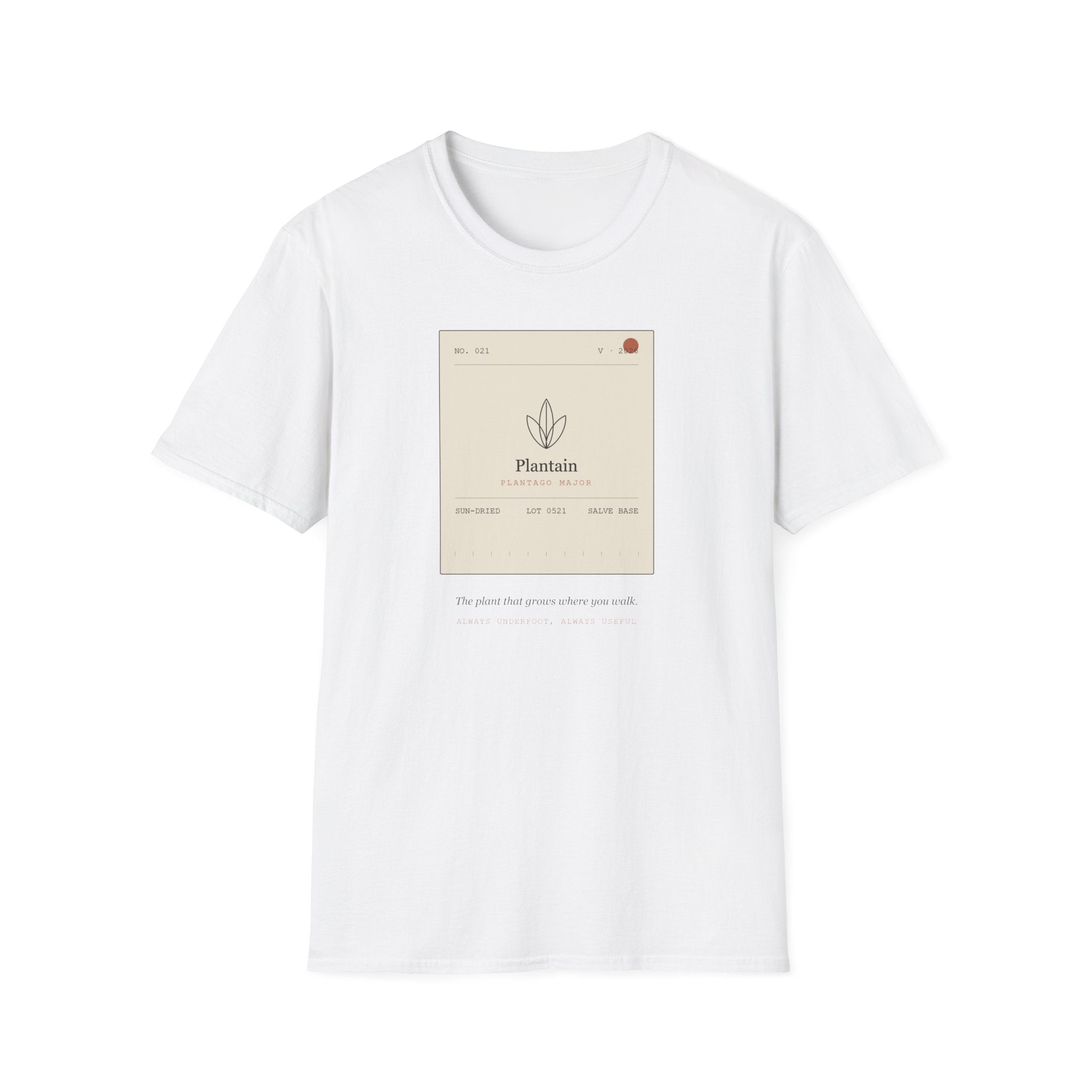 Field Ledger Plantain Illustration T-Shirt | Botanical Flower Label Tee