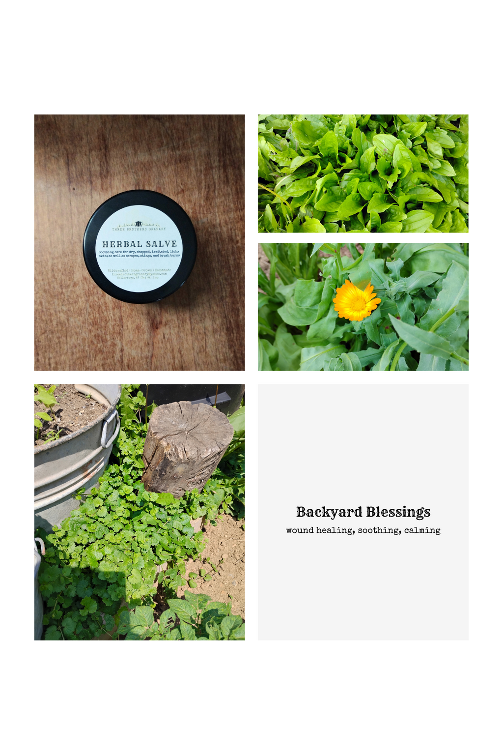 Backyard Blessing Salve & Dandelion Lip Balm Gift Set