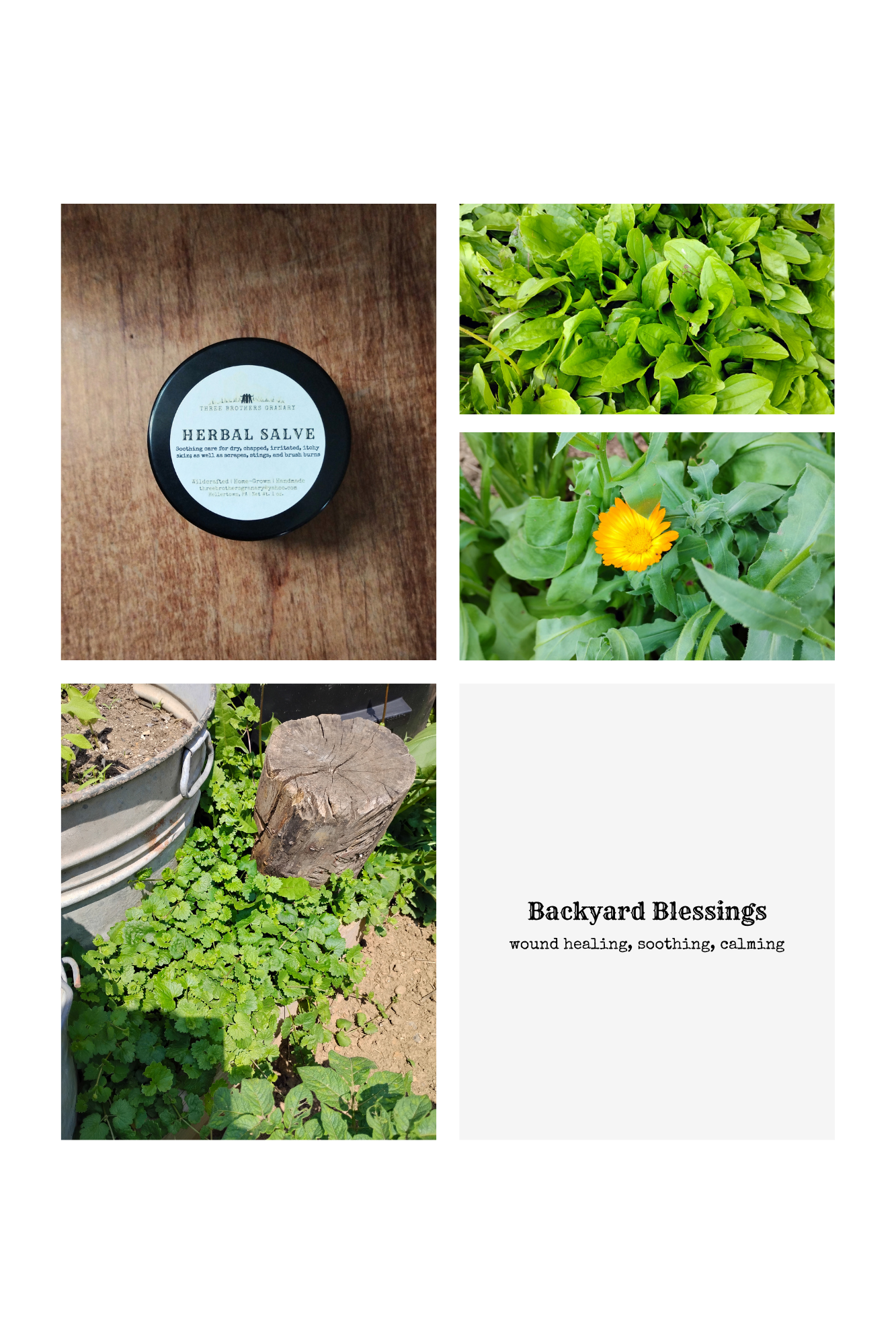 Backyard Blessings Herbal All-Purpose Salve | Natural Skin Healing Salve