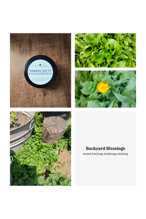 Backyard Blessing Salve & Dandelion Lip Balm Gift Set
