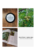 Black Walnut Anti-Fungal Salve | Natural Remedy for Athlete's Foot & Fungal Rashes