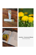 Dandelion Beeswax Lip Balm | Long-Lasting Moisturizing Lip Care | Clean Beauty