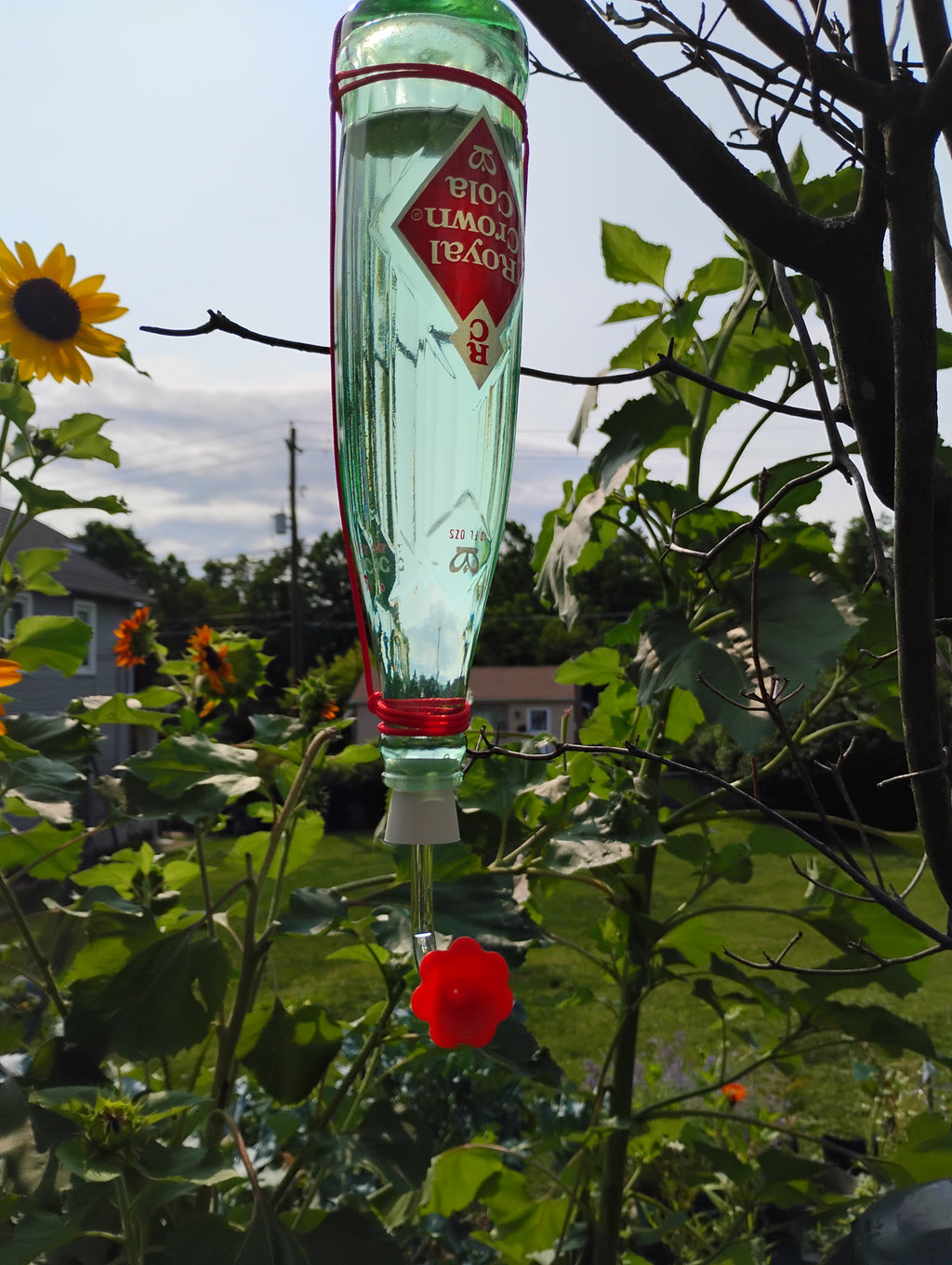 Hummingbird Starter Set | Upcycled Feeder + All-Natural Nectar Mix | Handmade Gift