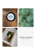Breath Easy White Pine Salve | Natural Chest Rub | Herbal Vapor Salve